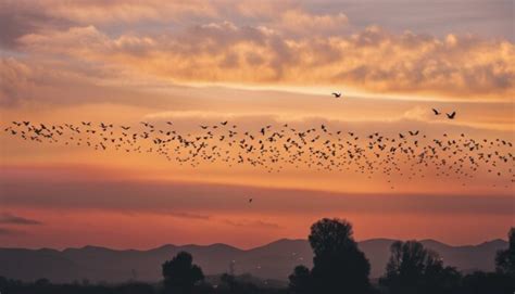  “The Bird That Sang in Gold” Unfurling Rhythms and Mystical Avian Forms!